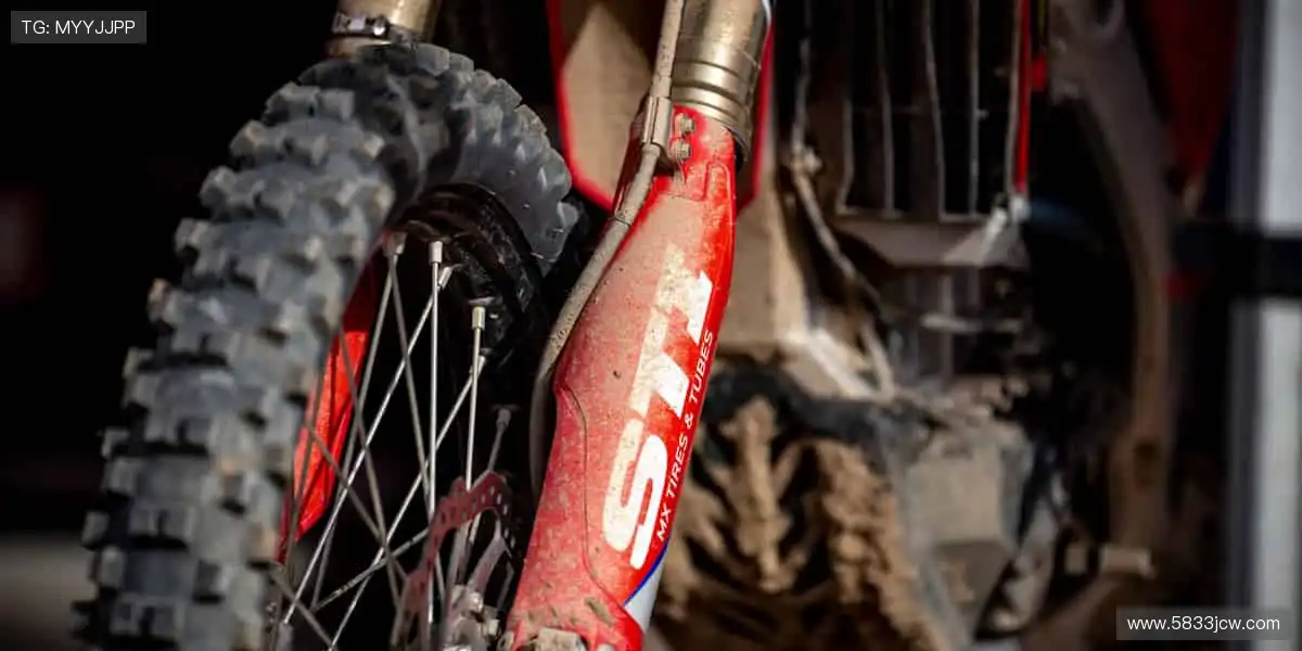 🎯 从装备到潮流，体育周边商城，做你的运动全能搭档！